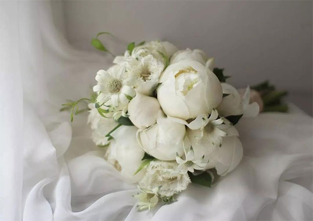 Hoa mẫu đơn trắng được dùng làm hoa cô dâu